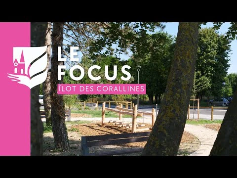 Première phase terminé pour l\'îlot des Corallines !