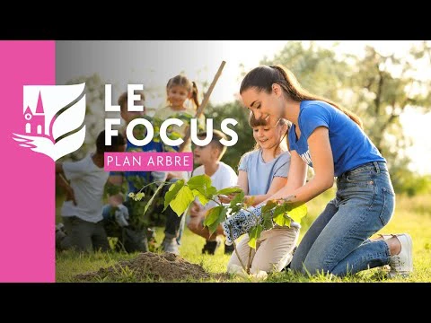 🌳 Plan Arbre - Châlons-en-Champagne 🌳